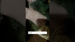 Как намотать гирлянду на ёлку?