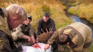 охота на лося и на камчатского медведя (Jagd auf Elch & Bär in Kamtschatka)