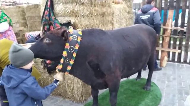 Казанский Храм. Посёлок Новая Усмань, Воронежская область. 04 ноября 2019 года,