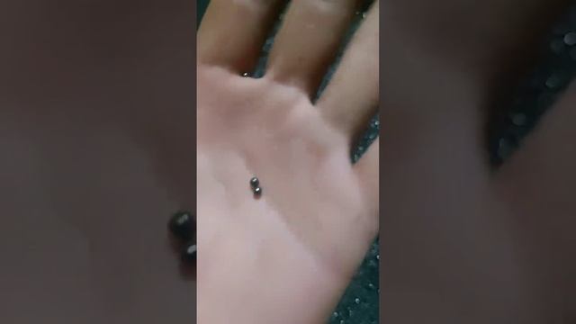 дробь 5 ка кому нода обращайтесь смотреть онлайн