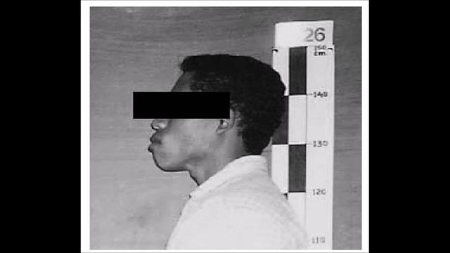 Lec 18 H. floresiensis смотреть онлайн