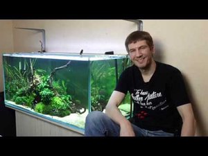 Аэрация в аквариуме. Всё, что нужно знать новичкам
