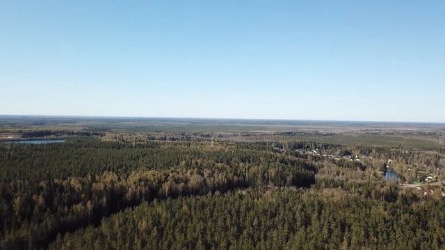 Тосненский район пос.Шапки тел. +7(952)394-34-59 смотреть онлайн