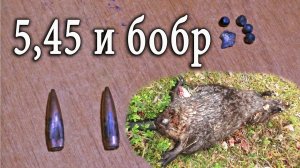 Карабин Сайга 5,45 и дробь на бобра