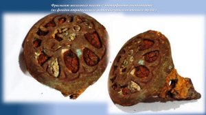 Железные псалии из коллекции Отрадненского музея