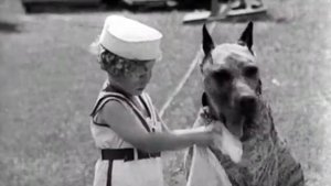 "Zooпарк": "Собаки, изменившие мир"