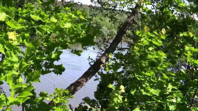 Посвящение Марине Цветаевой смотреть онлайн