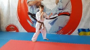 Заншин в карате