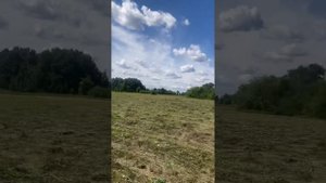 Как косит беспальцевая сегментная косилка.