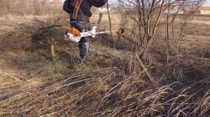 Stihl fs 560 c-em cutting small trees. (3,8 hp)