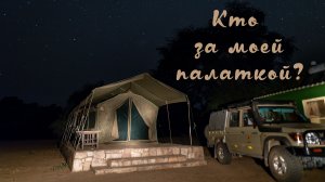Кто за моей палаткой?
