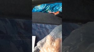 колики у лошадей, чем лечить