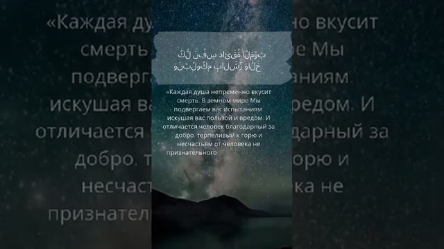 Смысл 2 аята суры «аль-Анкабут», тафиср «Мунтахаб»