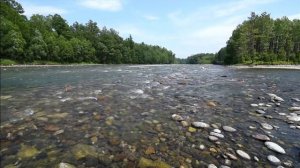 Павел Кашин - Глазами Будды