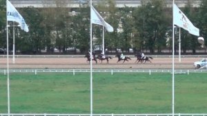 Московский ипподром. Бега. 01.10.17. Заезд 8(585). СПОРТИВНЫЙ ПРИЗ (РЫСЬЮ ПОД СЕДЛОМ)