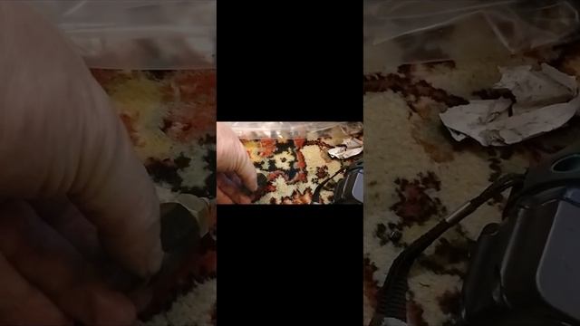 доработки 161 QML стелс ?капитан. воркута смотреть онлайн