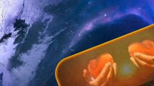 Песенка   о   трех   китах