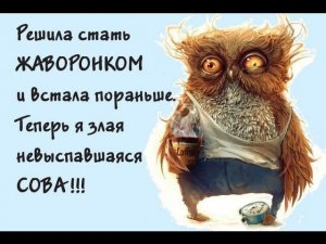 Среди россиян больше «сов», чем «жаворонков»