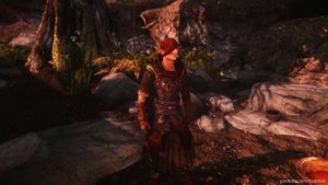 TES V - Skyrim: Witcher Ultimate Experience
