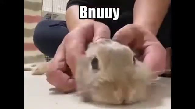 Doomguy immediately after killing hundreds of demons with his bare hands