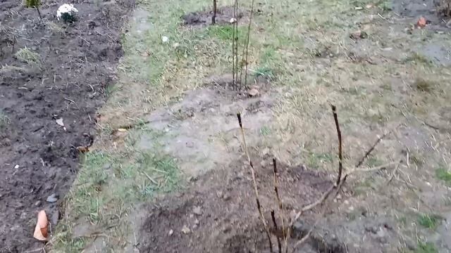 Прикрашаємо світ. смотреть онлайн