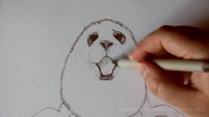 Штрихую НЕРПу карандашом. Часть 2