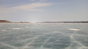 Щука разглядывает камеру