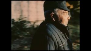 Клип Кругом тайга