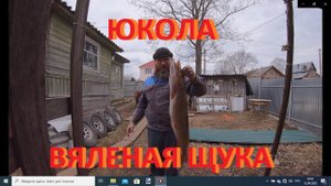 ЮКОЛА,ВЯЛЕНАЯ ЩУКА.