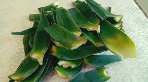 АЛОЭ! ПОЛЕЗНЫЕ СВОЙСТВА