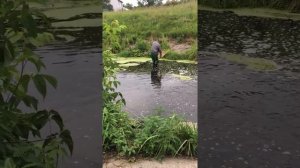 рыбалка, Артемовские луга, Нижний Новгород Ржака до слез