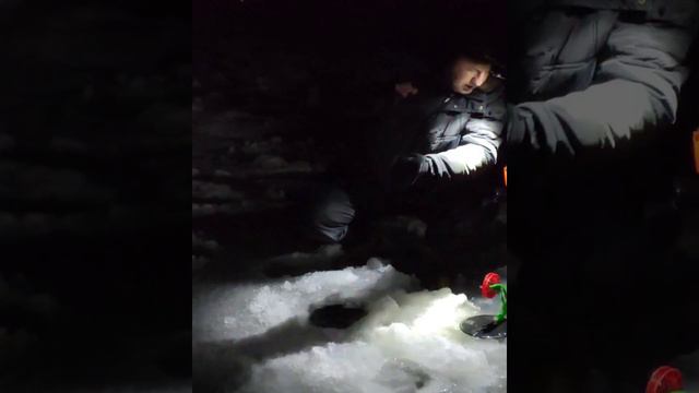 прикол, юмор смотреть онлайн