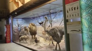 Государственный Дарвиновский музей 6 часть #музей