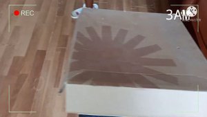 ПЯТЬ НОЧЕЙ С ШАРИКОМ