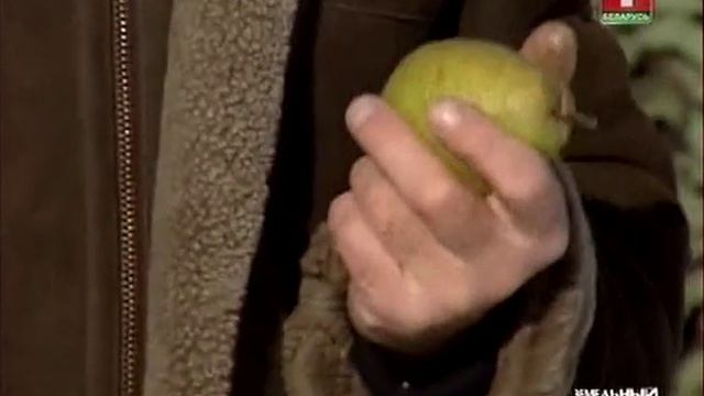 Стратификация