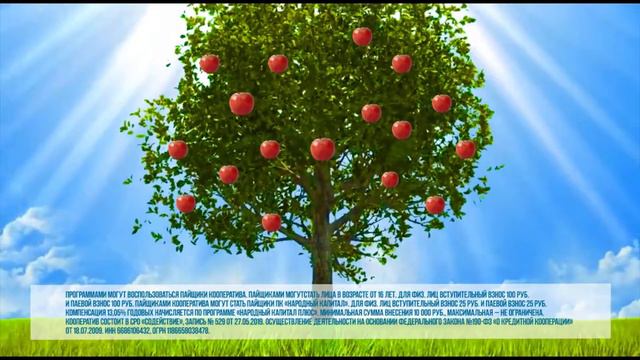 КПК "Народный Капитал" смотреть онлайн