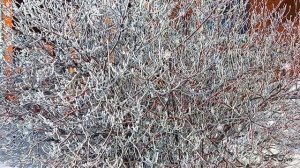 Сергей Кукушкин Февраль Размышления у  зимнего окна