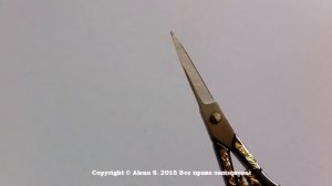 ✄✄✄Ножнички с Aliexpress♥2015