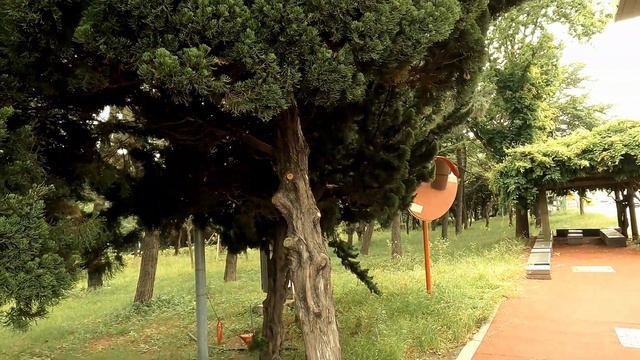 100 км пешком за три дня! Город Пусан, Южная Корея. День второй. смотреть онлайн