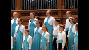 С  Плешак Солдатик оловянный