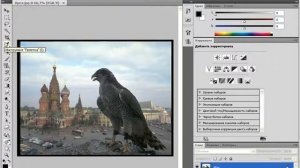 Обзор панели инструментов в Photoshop CS4 (26/45)