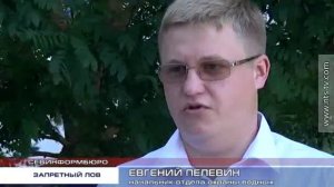 Летний запрет на лов креветок и мидий в Черном море