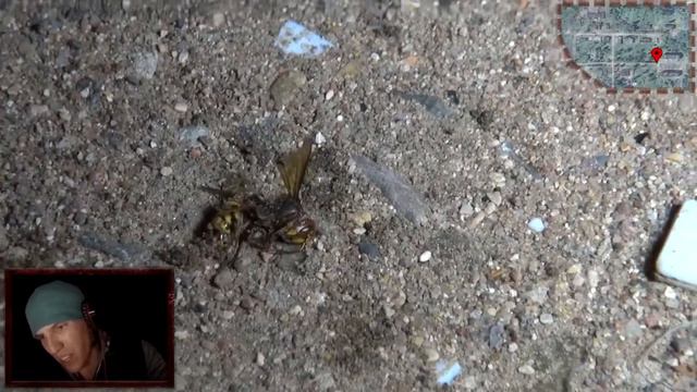 привидениями заброшенный проверти Дима Масленников смотреть онлайн