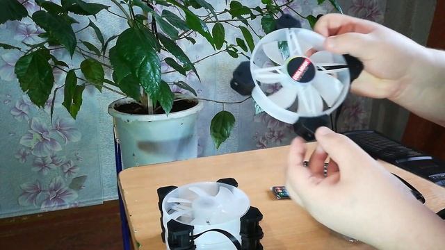 ТОП КОМПЛЕКТ ВЕНТИЛЯТОРОВ ЗА 2К.РАСПАКОВКА COOLMOON. смотреть онлайн