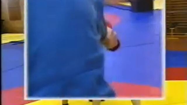 Sambo Throws and Takedowns 7 of 8 смотреть онлайн