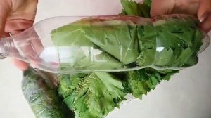 Խաղողի տերևները պահելու 3 տարբերակ.3 СПОСОБА ЗАГОТОВКИ виноградных листьев.