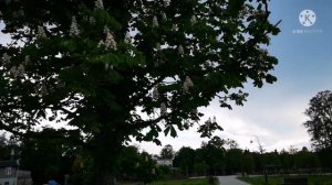 Кемери. Латвия. Как стало. Вы удивитесь