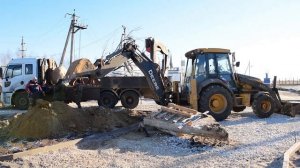 Посадка Крупномера | Дуб Красный | Посадка крупных деревьев