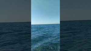 Крым,Рыбачье. Пляж. Самое чистое море. Погода.