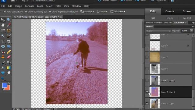 Photoshop Elements Filter Tutorial:  Neon Glow